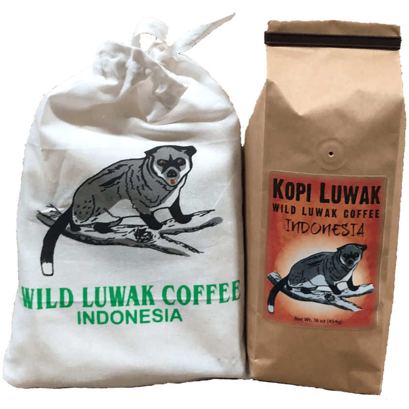 kopi-luwak-coffee-authenticng.png