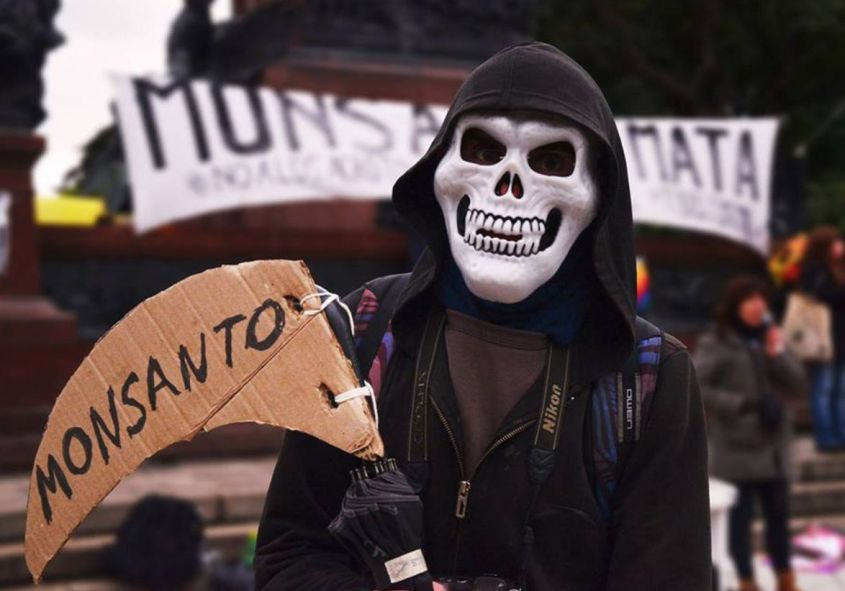Monsanto44