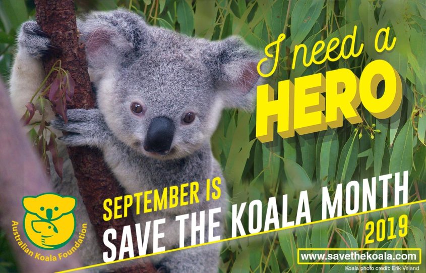 rettet den coala Monat pg