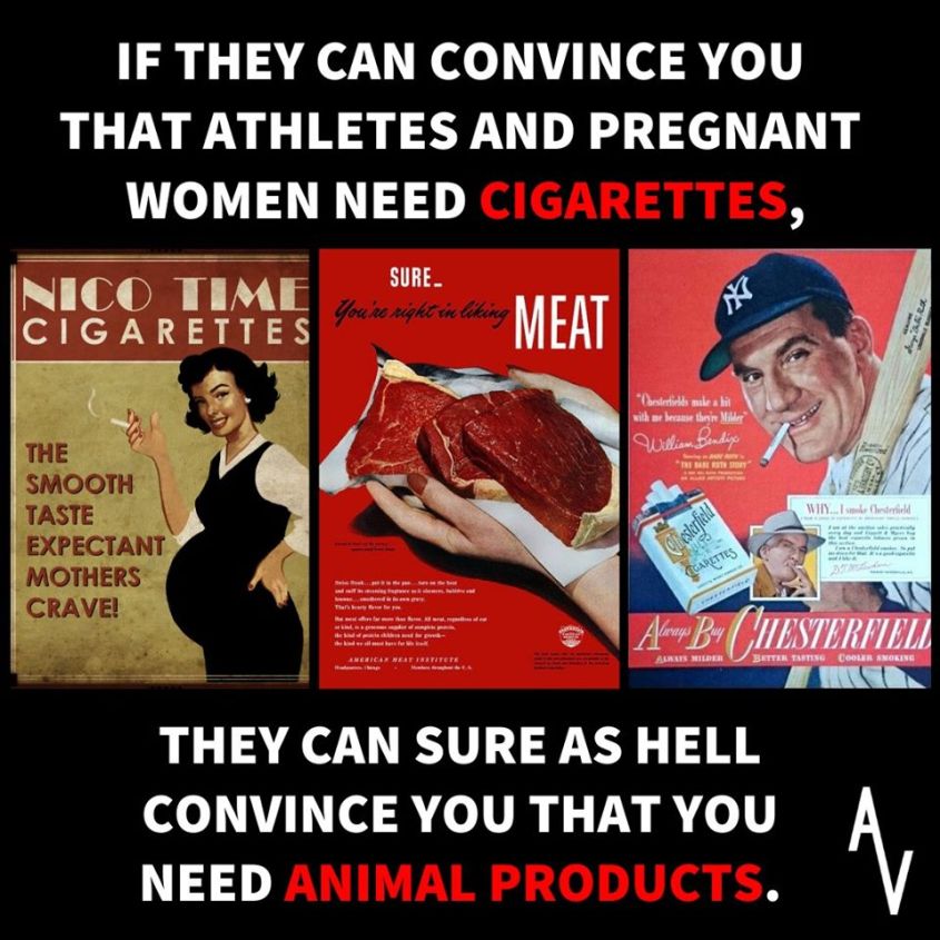 slogan über schwangere frauen