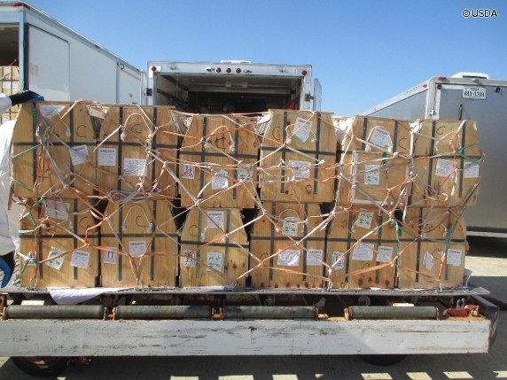 2014-12-01-Affen-Transport-Labore-jpg