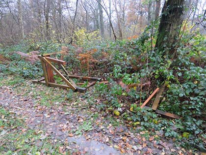 ALF France_hunting2_jpg