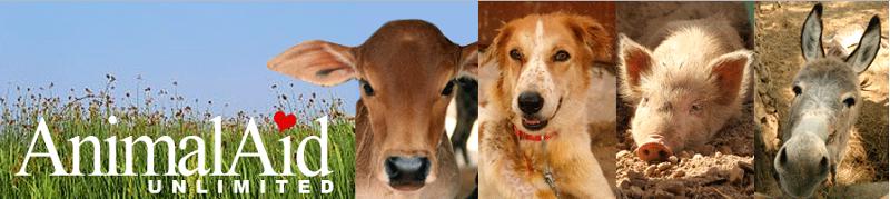animal aid unlimited new header.