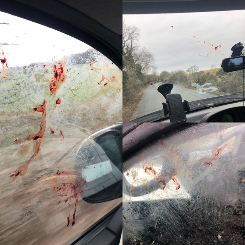 autoscheibe mit blut verschmiertjpg