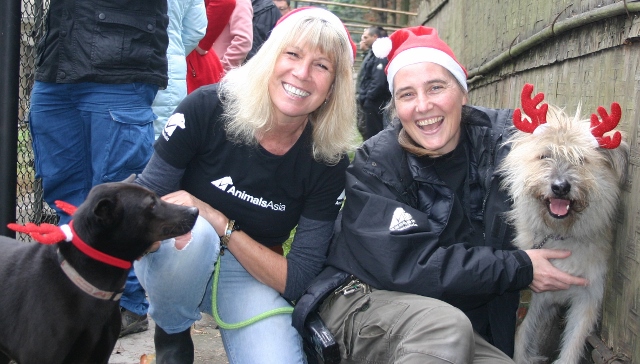 Jill xmas animals asia.jpg