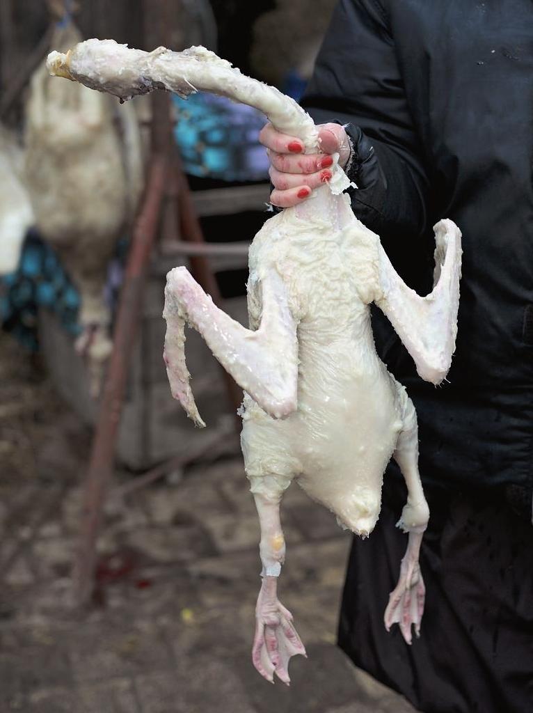 C98F0B42-C48A-4863-A085-376497130085