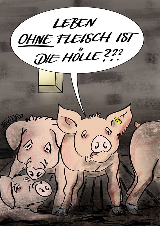 schöner slogan schweinejpg