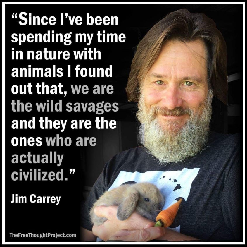 schönes Zitat über Zivilsiert seinpg