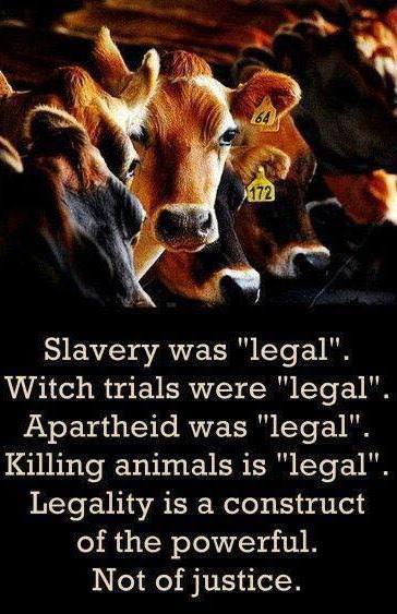 Slogan über Slavery_n