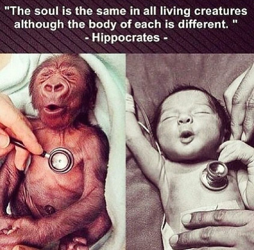 anonymous slogan kinderjpg