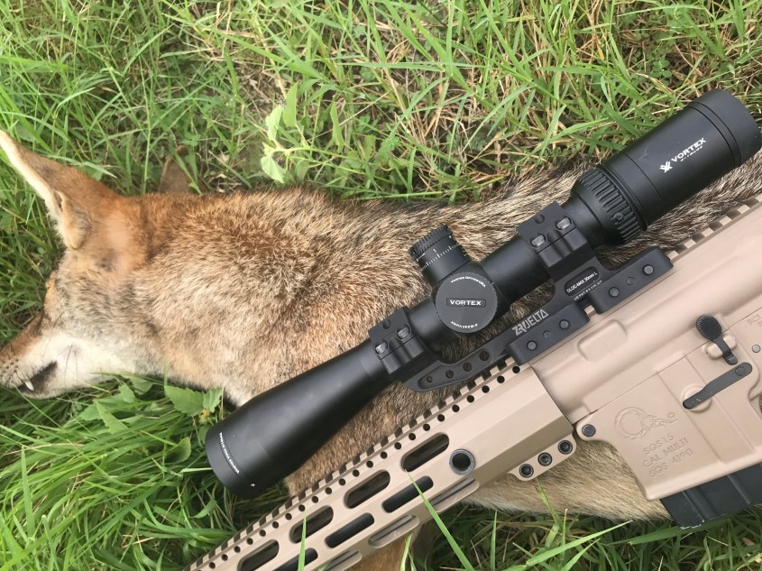 coyote erschossen pg