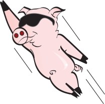 flying pig.jpg