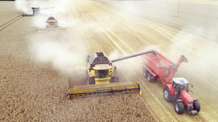 getreideernte-traktor-pg