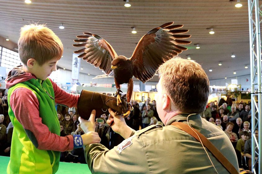 Westfalenhallen GmbH / Foto: Anja Cord