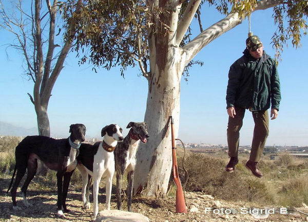 karikatur galguero_tot