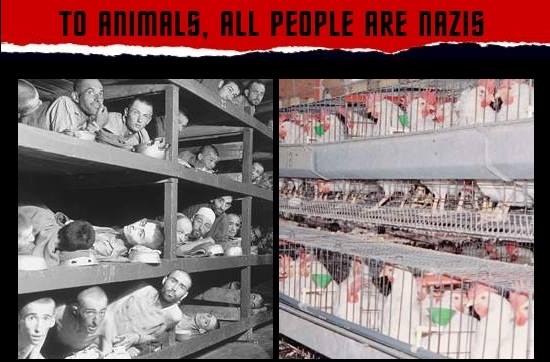 Nazi Kaserne und Tier Kaserne pg