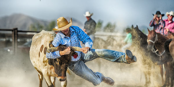 rodeos in new zealand
