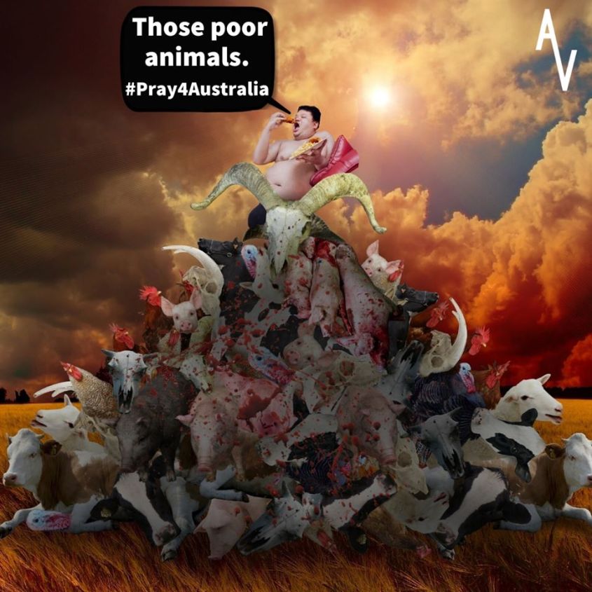 slogan anonymous-australia