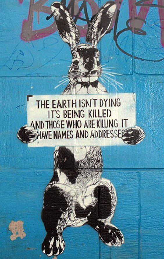 spruch vom Hase über die Erdepg