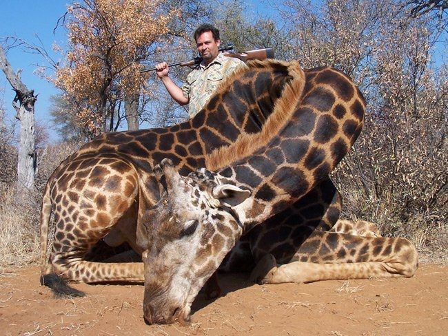 Trophäenjagd2434699343