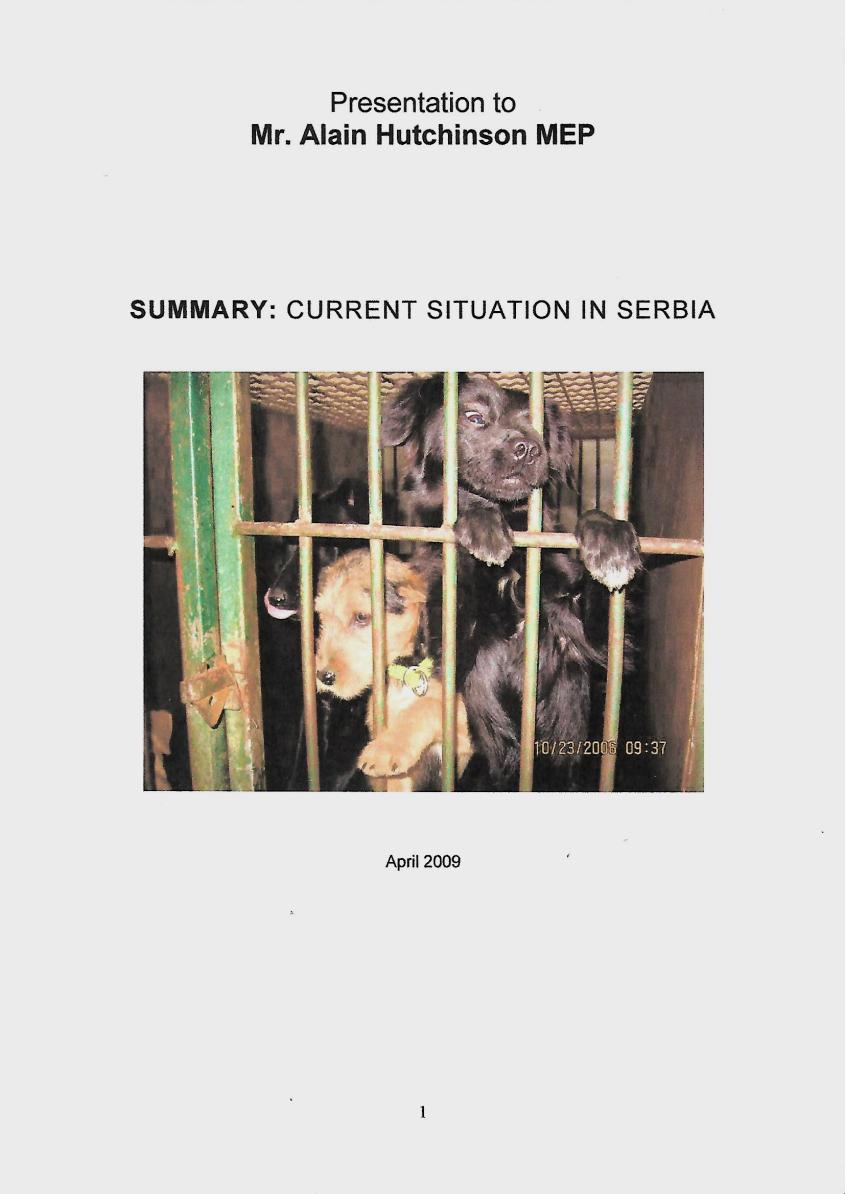 alain hutch serbia 1