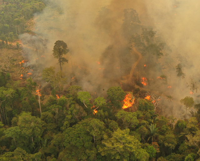 Amazonas-Feuer-Luftbild-