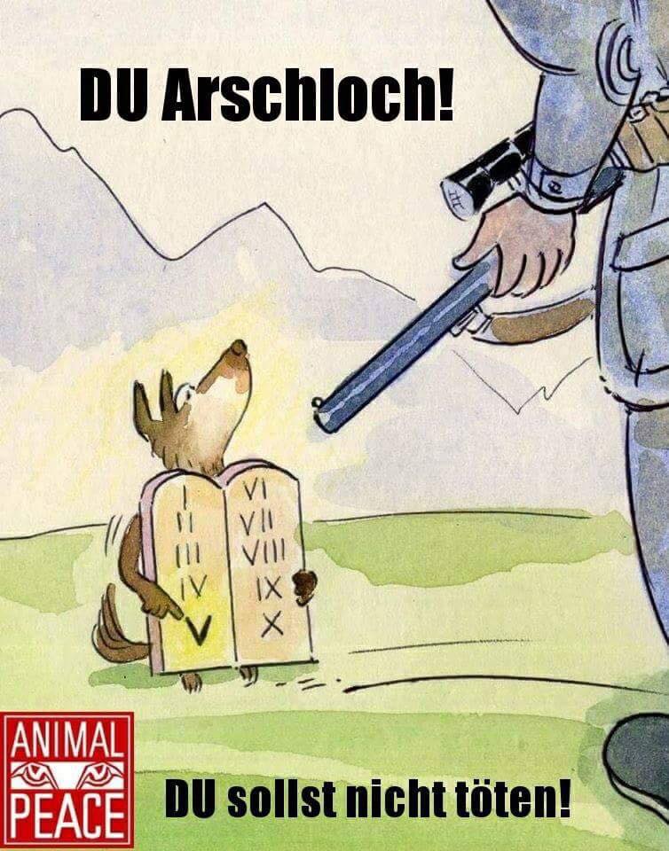 animal peace karikatur