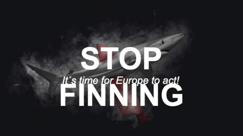 Haien-stopp finning Initiative