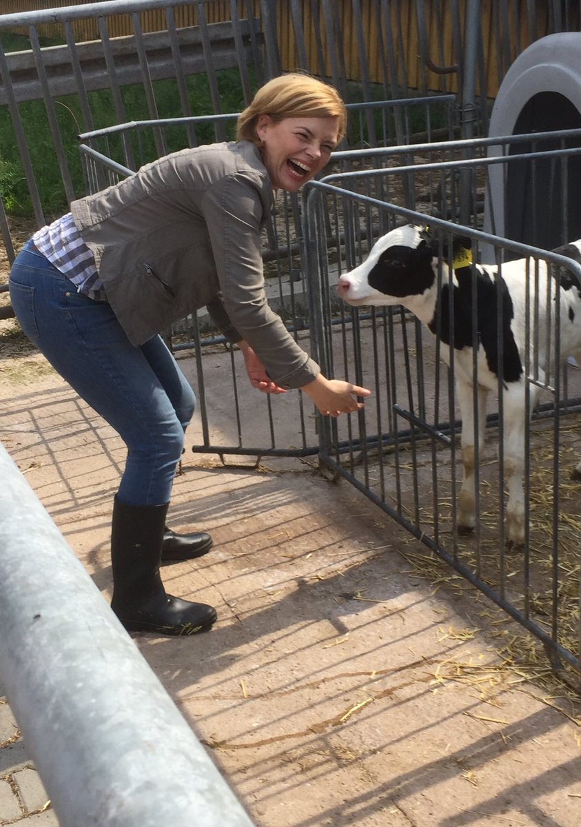 klöckner mit Kalbjpg