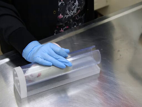 Mouse-or-Rat-Restraint-Tube