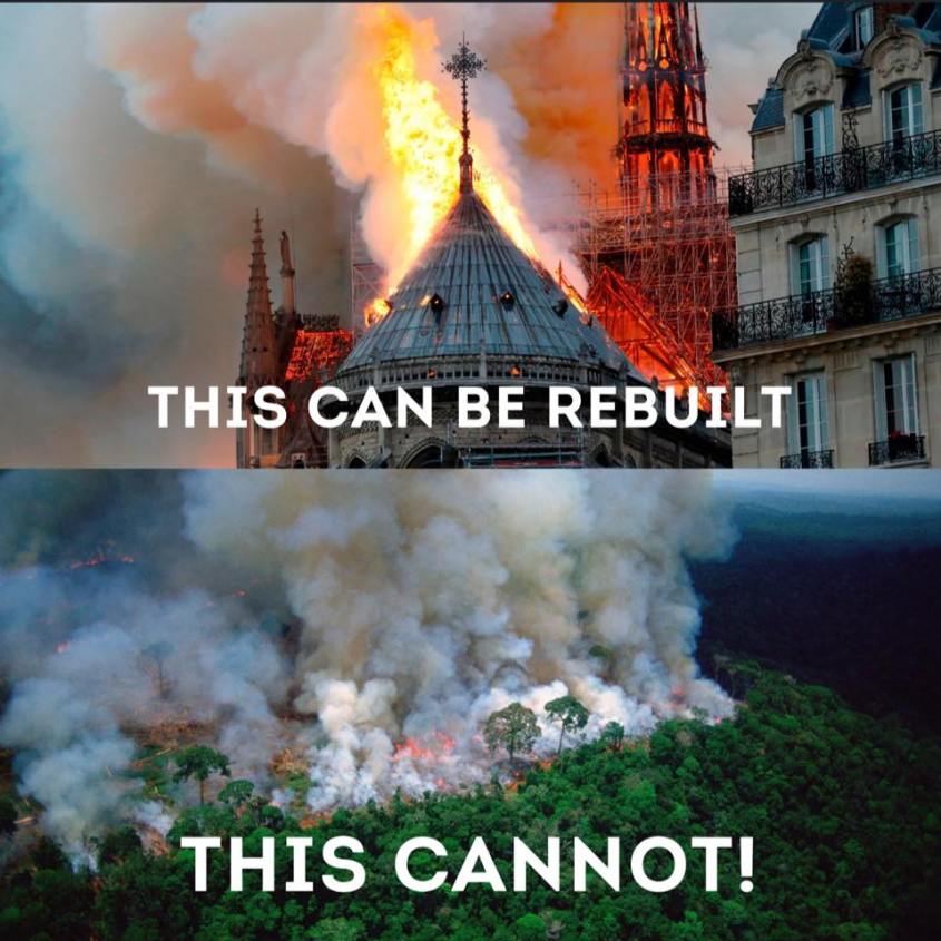 notre dame und amazonas sloganjpg