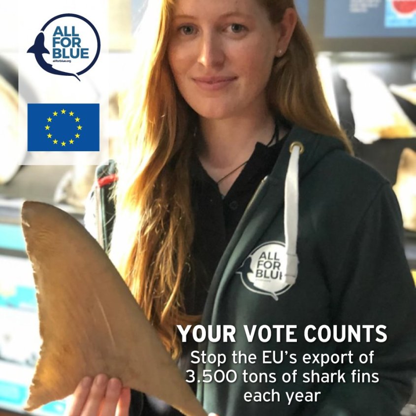 plakat gegen finning jpg