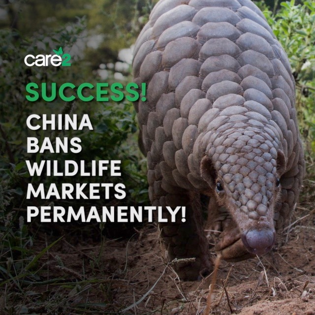 tatu pire und slogan