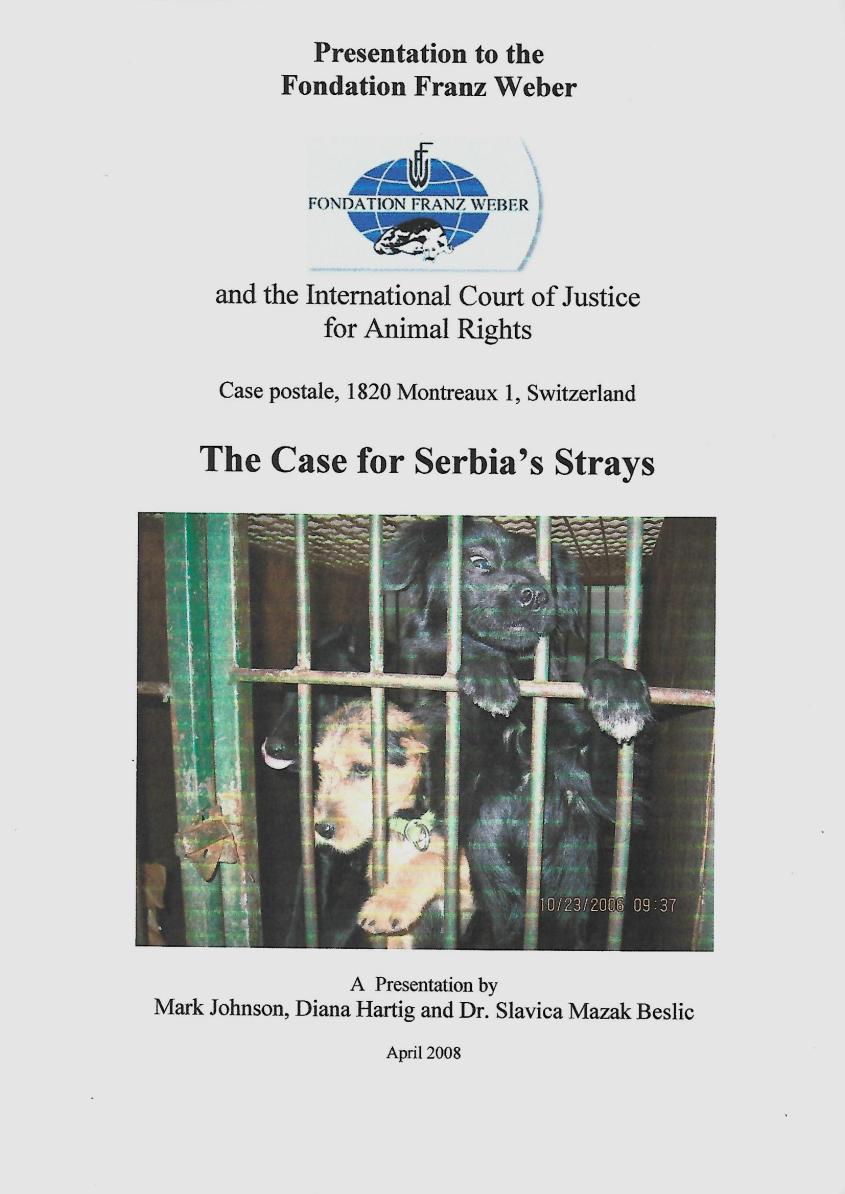 the case for serbian strays front sht