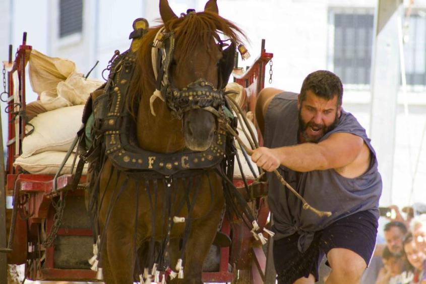 Valencia pferdeziehen 4jpg