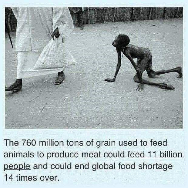 Zitat über Welthunger