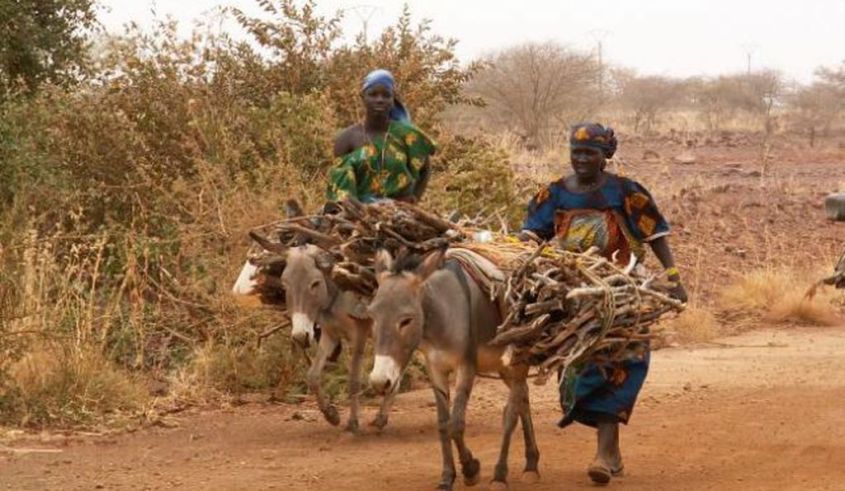 africa_frauen mit Eseljpg