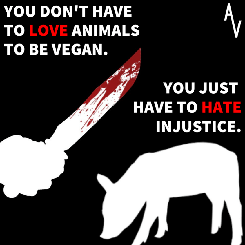 anonymous justicepng