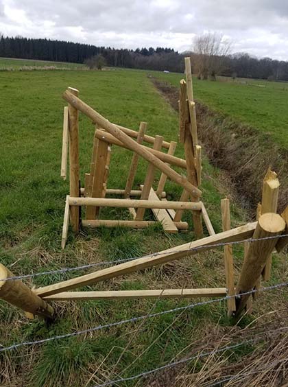 Belgium_hunting_Mar20 -2 d