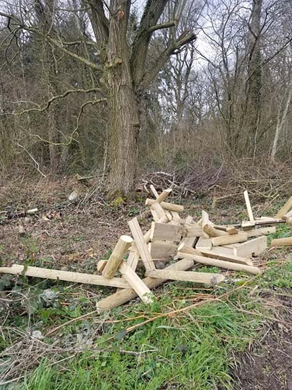 Belgium_hunting_Mar20e