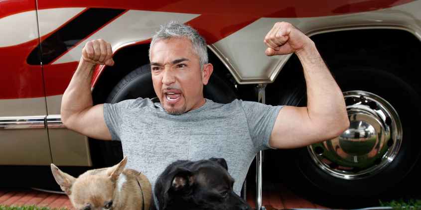 cesar-millan-the-dog-whisperer