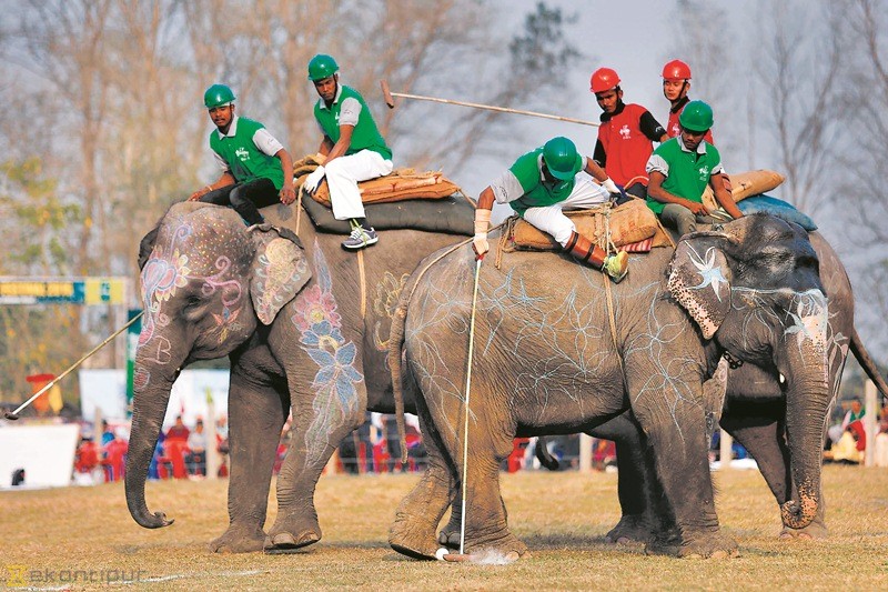 elephant-festival