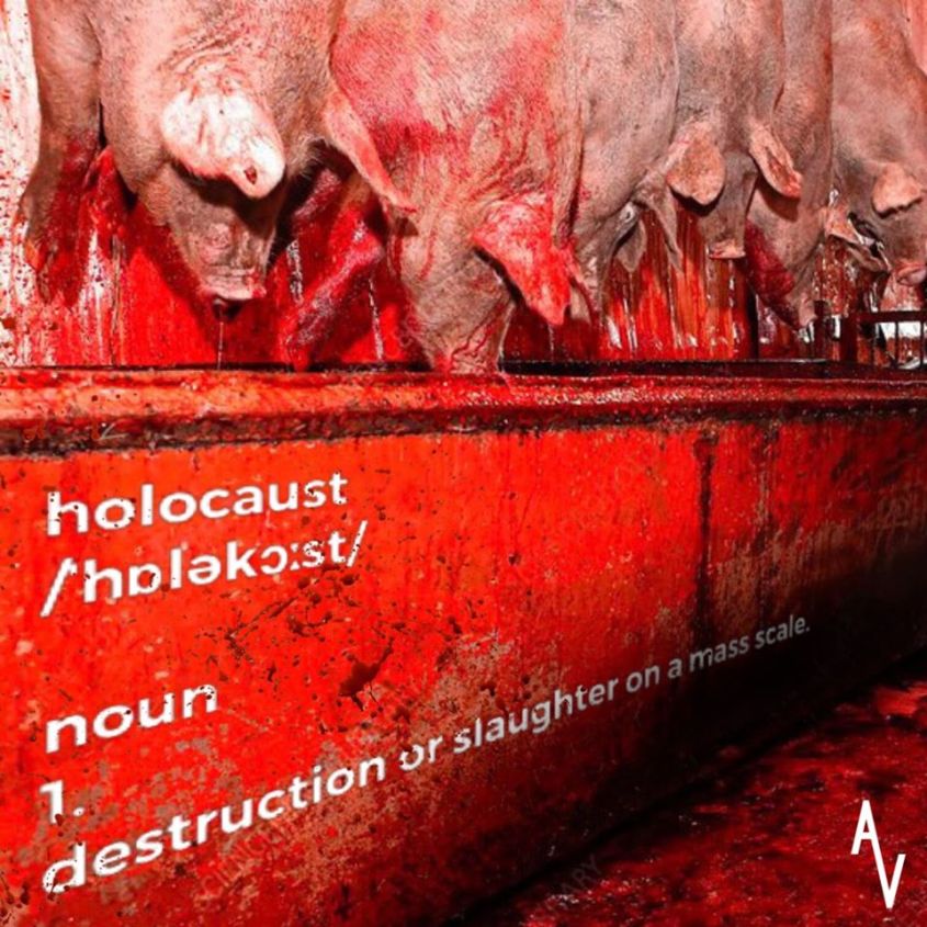 holocaust anonymous o