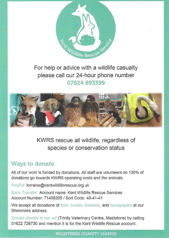 Kent Wildlife Rescue Service