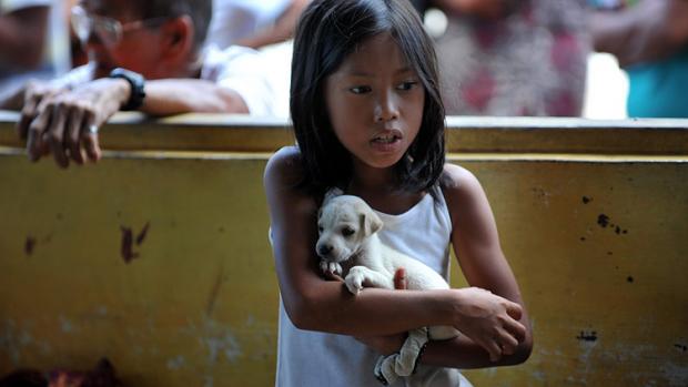 kleines Mädchen mit Hund