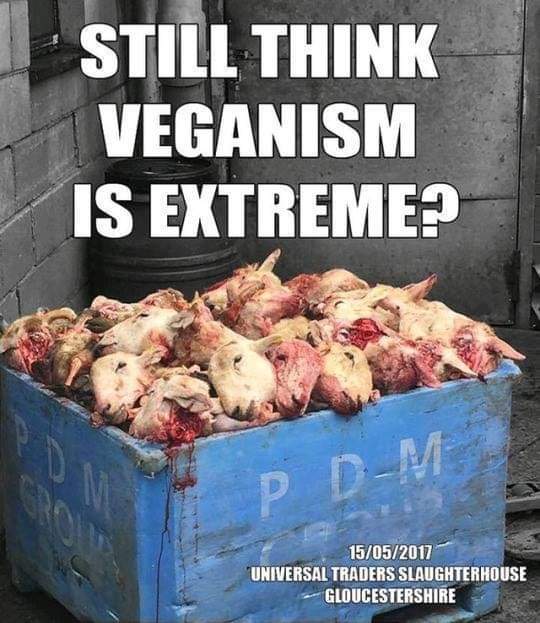 tote schagsköpfe mit zitatjpg