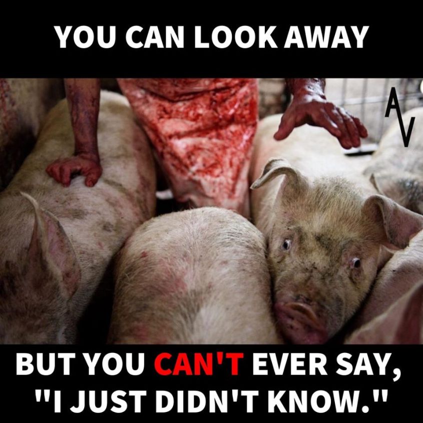 anonymous you can look away