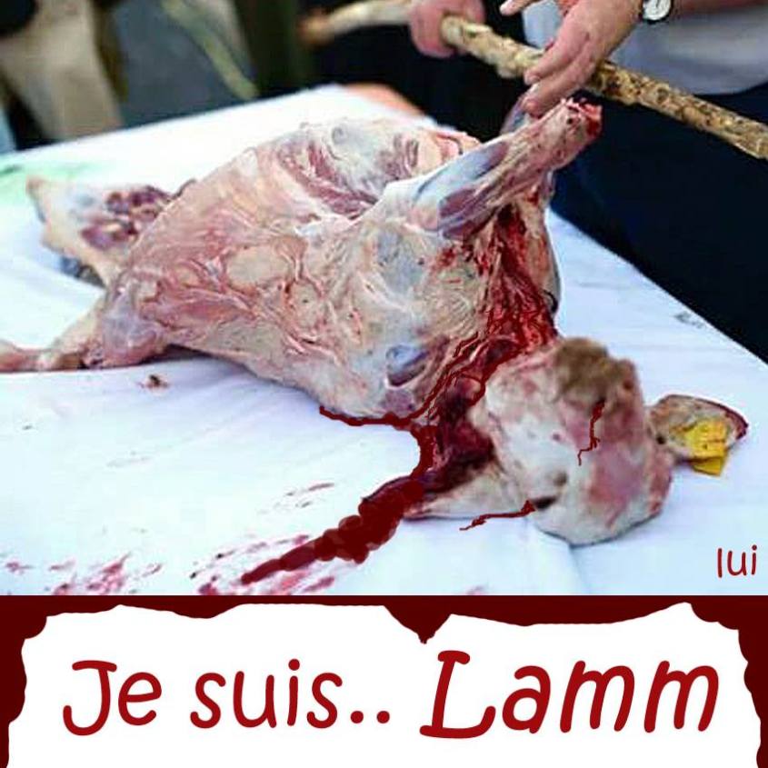 Je suis Lamm_n
