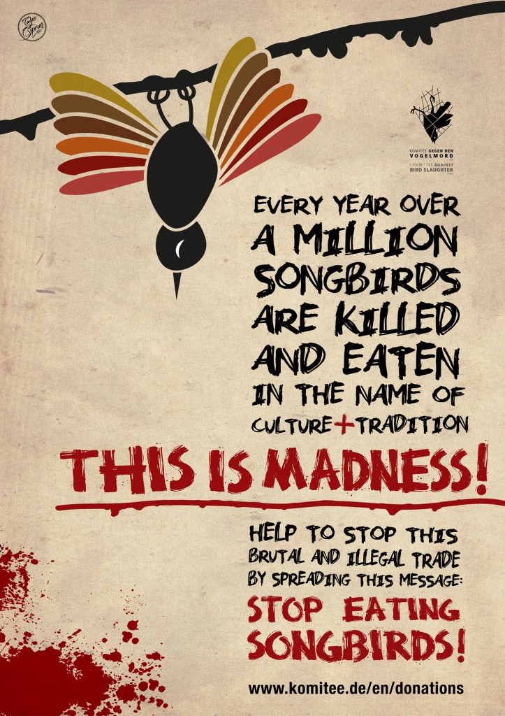 komite Poster-LR-723x1024