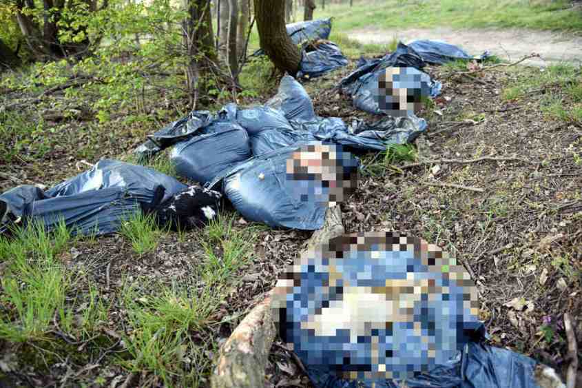 leipzig, tote lämmerjpg